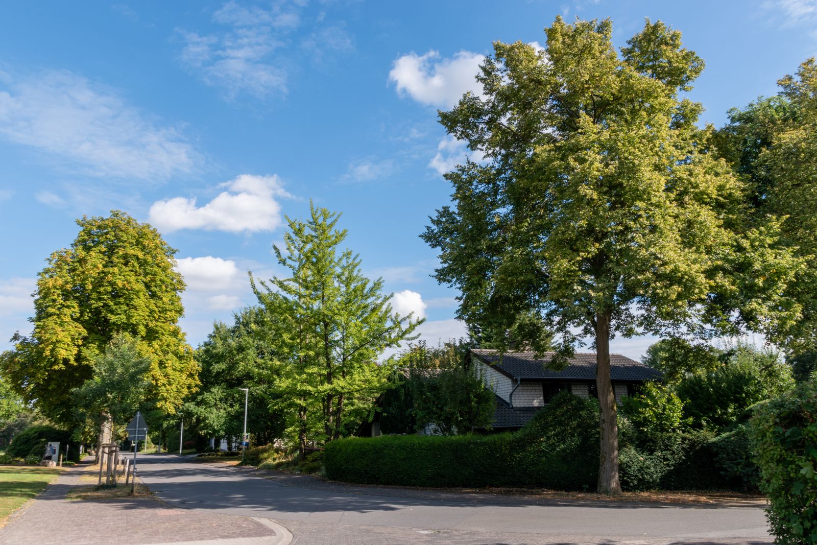 A street in Independence