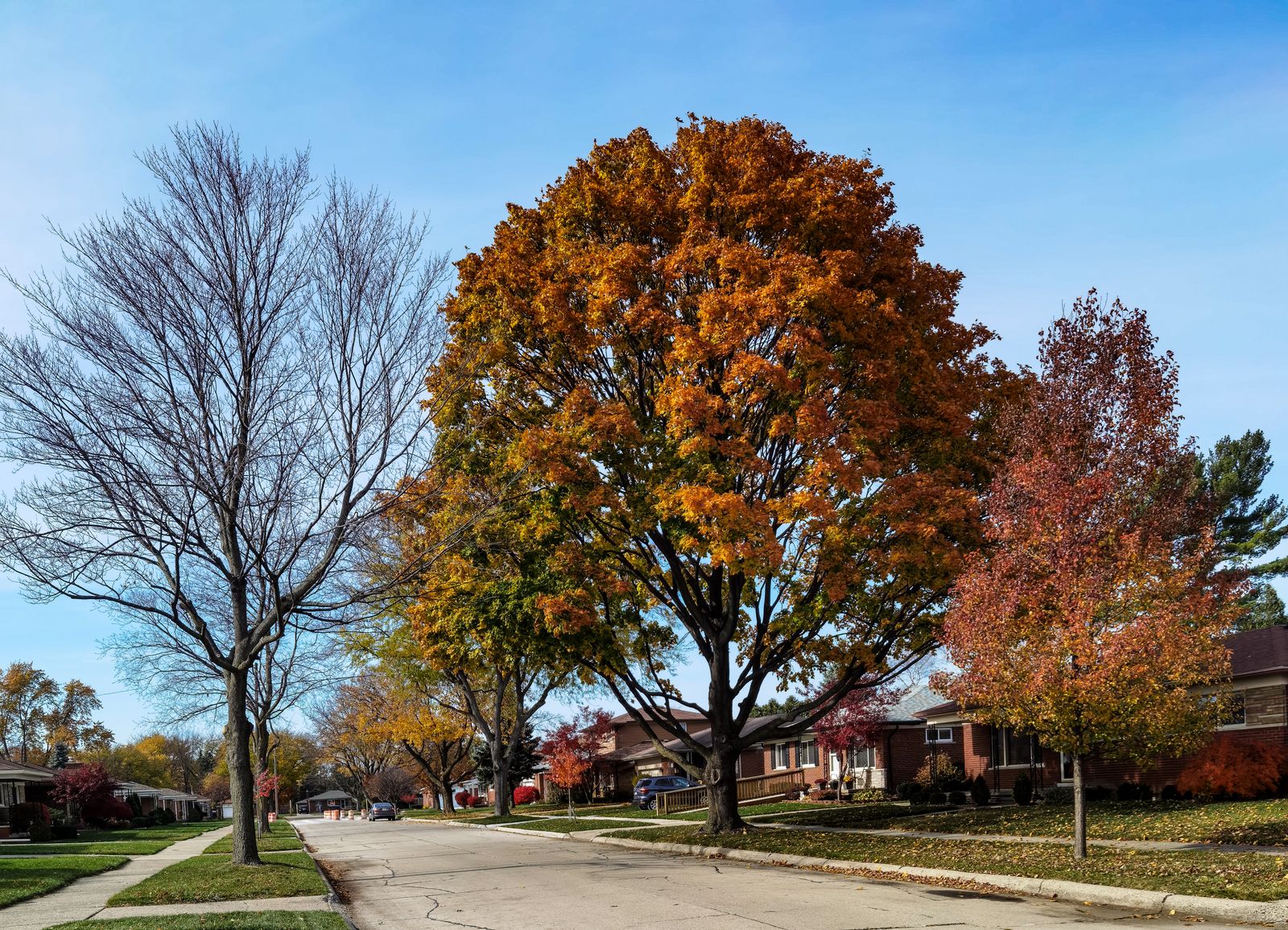 A street in Liberty & the Northland
