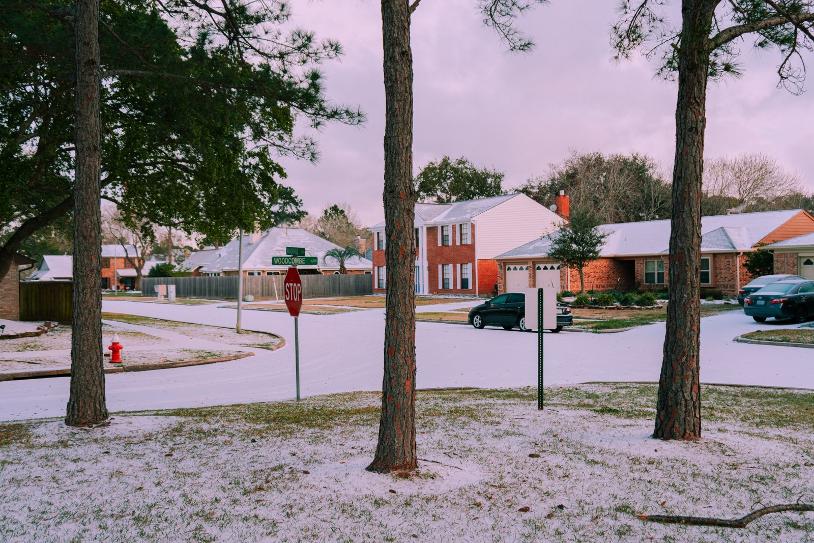 Tree-lined suburban street in the metro